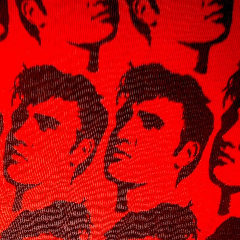 Elvis cropped t shirt